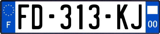 FD-313-KJ