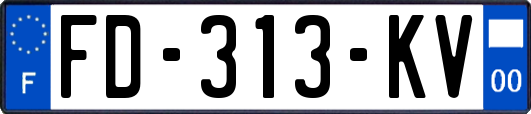FD-313-KV