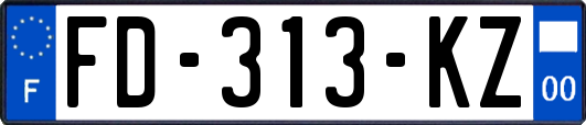FD-313-KZ