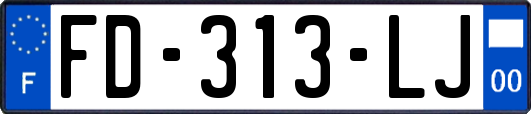 FD-313-LJ