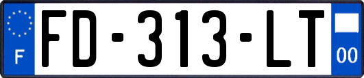FD-313-LT
