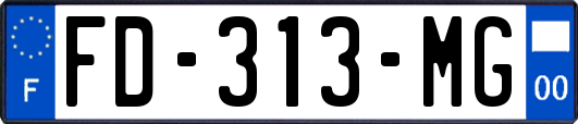 FD-313-MG