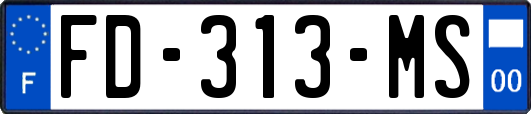 FD-313-MS