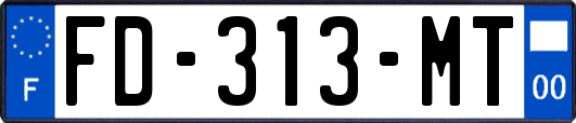 FD-313-MT