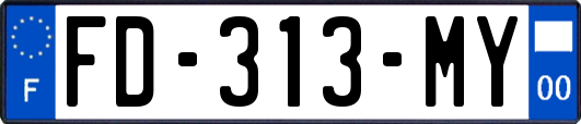 FD-313-MY