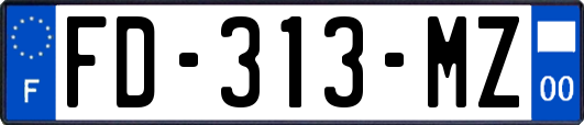 FD-313-MZ