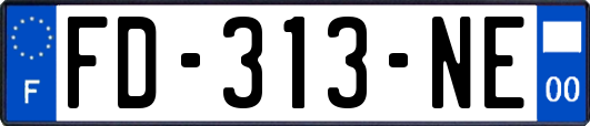 FD-313-NE
