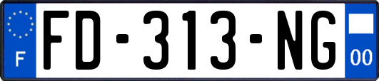 FD-313-NG