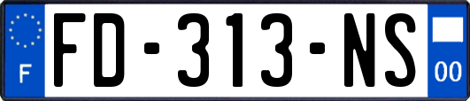 FD-313-NS