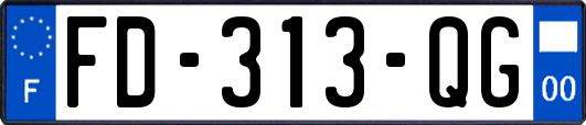 FD-313-QG