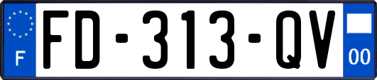 FD-313-QV