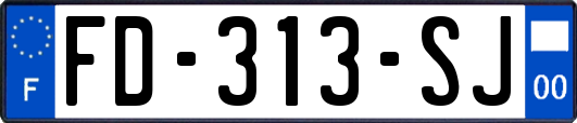 FD-313-SJ