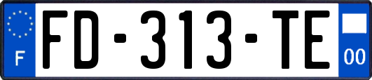 FD-313-TE