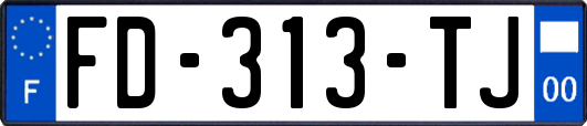 FD-313-TJ