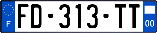 FD-313-TT