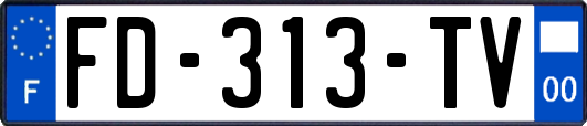 FD-313-TV
