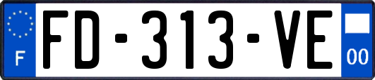 FD-313-VE