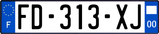 FD-313-XJ