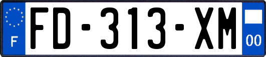 FD-313-XM