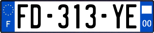 FD-313-YE