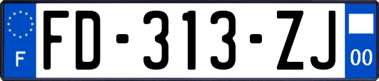 FD-313-ZJ