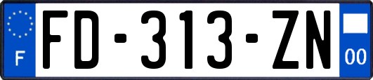 FD-313-ZN