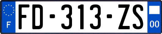 FD-313-ZS