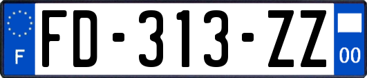 FD-313-ZZ