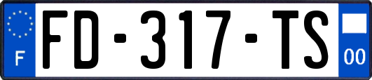 FD-317-TS