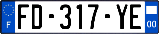 FD-317-YE