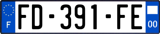 FD-391-FE