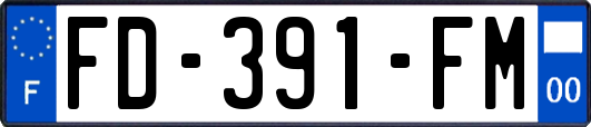 FD-391-FM