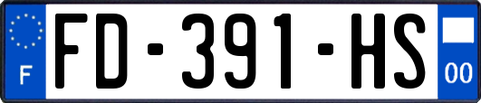FD-391-HS