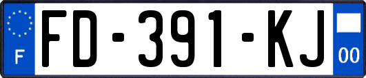 FD-391-KJ
