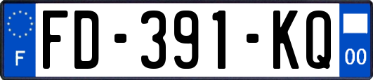 FD-391-KQ