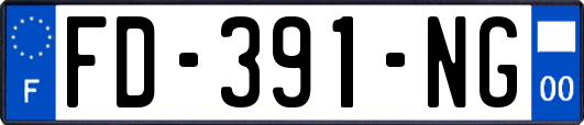 FD-391-NG