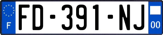 FD-391-NJ