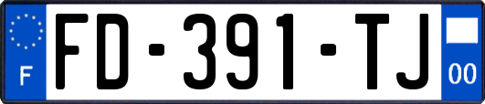 FD-391-TJ