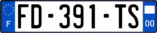 FD-391-TS