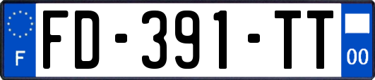 FD-391-TT