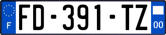 FD-391-TZ