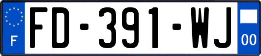 FD-391-WJ