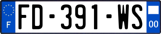 FD-391-WS