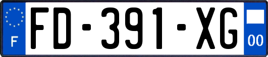FD-391-XG