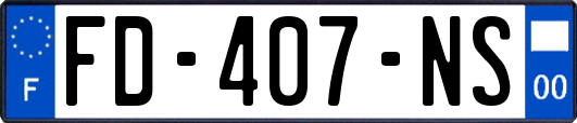 FD-407-NS