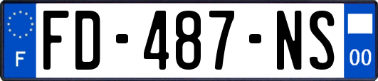 FD-487-NS