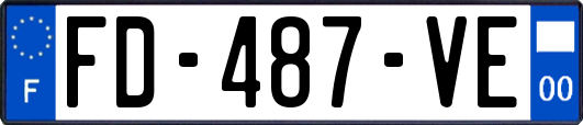 FD-487-VE