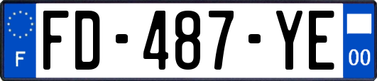 FD-487-YE