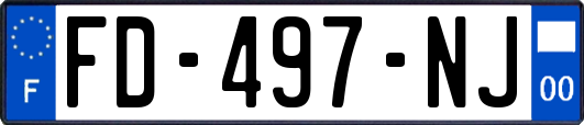 FD-497-NJ