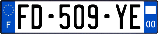 FD-509-YE